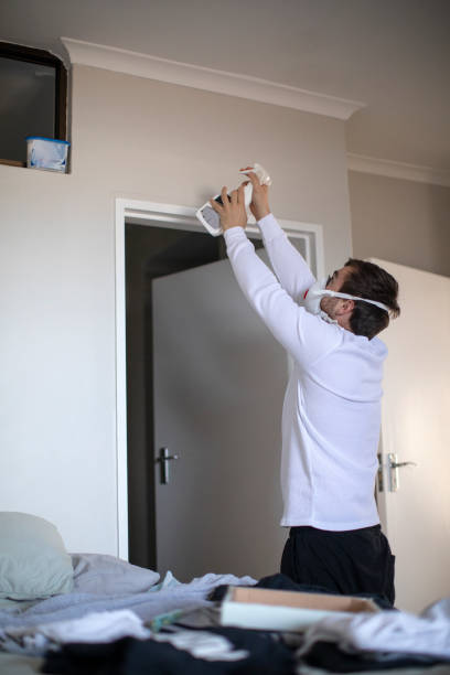 Asbestos and Lead Testing During Mold Inspection in Jasper, AL
