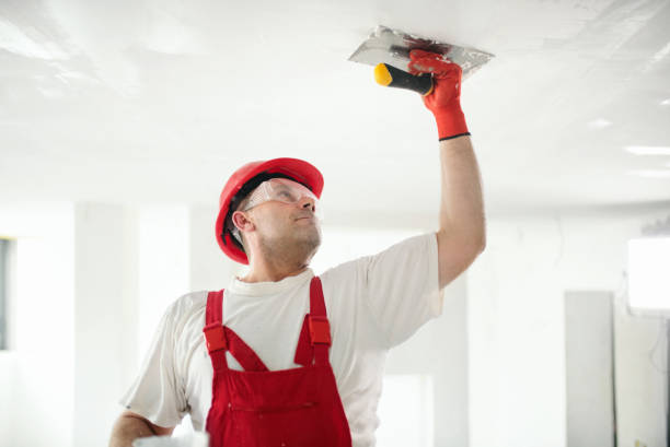 Professional Mold Removal in Jasper, AL
